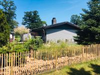 Ferienhaus Heide-Haus Lüneburger Heide mit Hund & Familie Niedersachsen - Winsen (Aller) Vorschau