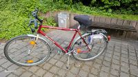 Fahrrad 28 zoll Rheinland-Pfalz - Worms Vorschau