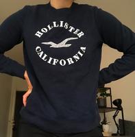 Hollister Pullover Gr. S Damen Leipzig - Plagwitz Vorschau