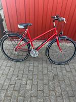 Damen Fahrrad zu verkaufen Niedersachsen - Wathlingen Vorschau