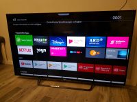 55" = 138cm Sony 4k Android Smart LED 3D TV Premium Ausstattung Niedersachsen - Papenburg Vorschau