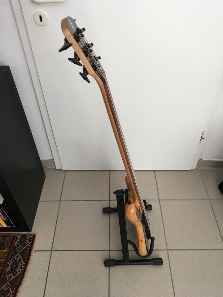 Spector Legend  Custom 6 Saiter Bass in Forst