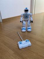 Roboter ferngesteuert Baden-Württemberg - Ammerbuch Vorschau