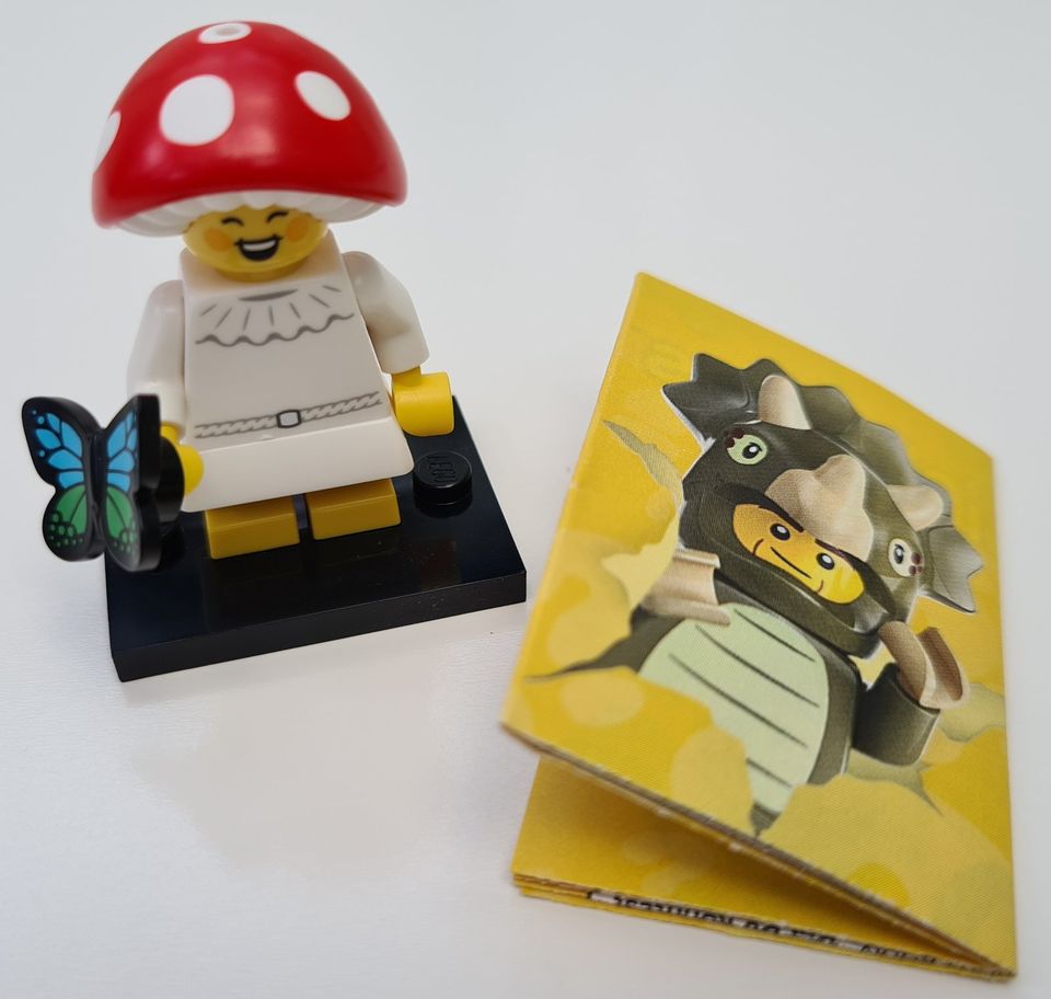 Lego Minifiguren / 71045 / Serie 25 / Der Fliegenpilz in Beelitz