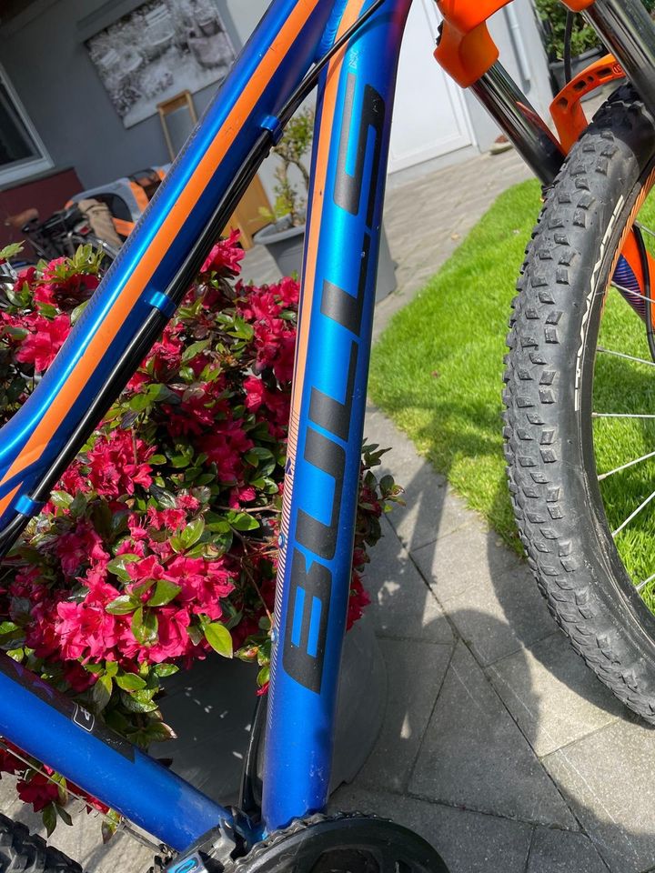 Mountainbike Bulls Sharptail 2 - 27,5 Zoll in Blau & Orange in Krefeld