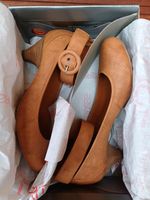 Pumps, Damenpump, Damenschuh, Esprit, Gr. 37, neu Dresden - Klotzsche Vorschau