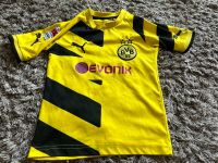 Trikot BVB Gr.104 Dortmund Puma T-Shirt EM Fußball Brandenburg - Nuthetal Vorschau