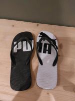 Puma Flip Flops NEU Gr. 40 Baden-Württemberg - Karlsbad Vorschau