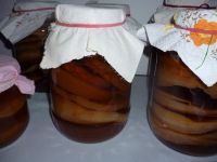 Scoby, Kombucha Teepilz Baden-Württemberg - Heilbronn Vorschau