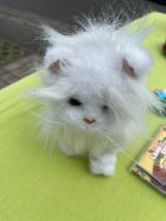 Weiße Furreal Katze interaktiv: läuft, schnurrt, miaut wie NEU Hessen - Nidda Vorschau