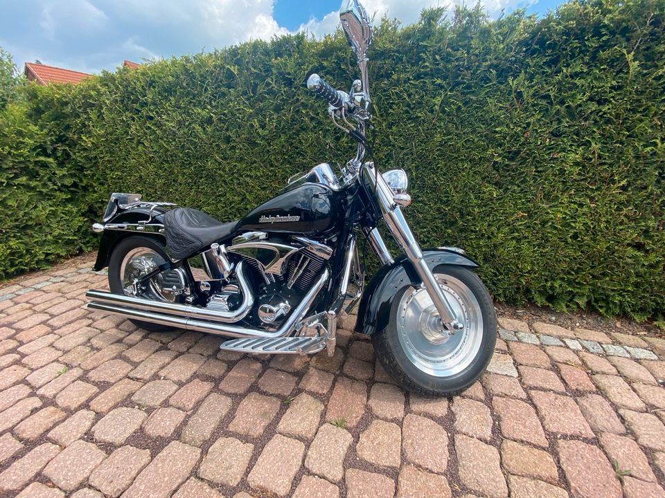 Harley Davidson Fatboy/ Softail Bj. 1998 erst 13.500 km in Naumburg (Saale)