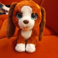 Hasbro Furreal Animal Hector Wachhund Hessen - Steffenberg Vorschau