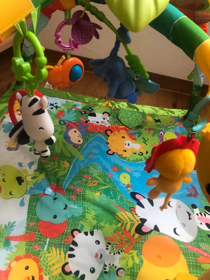 Fisher Price Rainforest Spielbogen Activity Erlebnisdecke in Freystadt