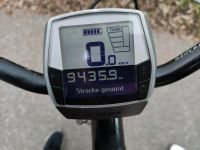 E-Bike Diamant (Hydraulische Bremse) Baden-Württemberg - Lahr (Schwarzwald) Vorschau