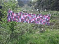 Schal in pink-rosa- Karos-  dänische Wolle, Handarbeit Niedersachsen - Seelze Vorschau