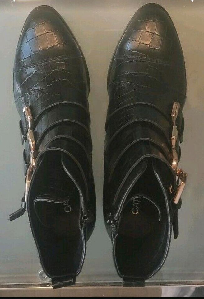 Damen Schuhe Stiefel Stiefeletten Catwalk Gr. 37 neu in Gehlert