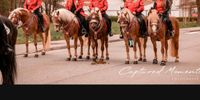 Reitbeteiligungen auf Haflinger Bayern - Hohenwarth Vorschau