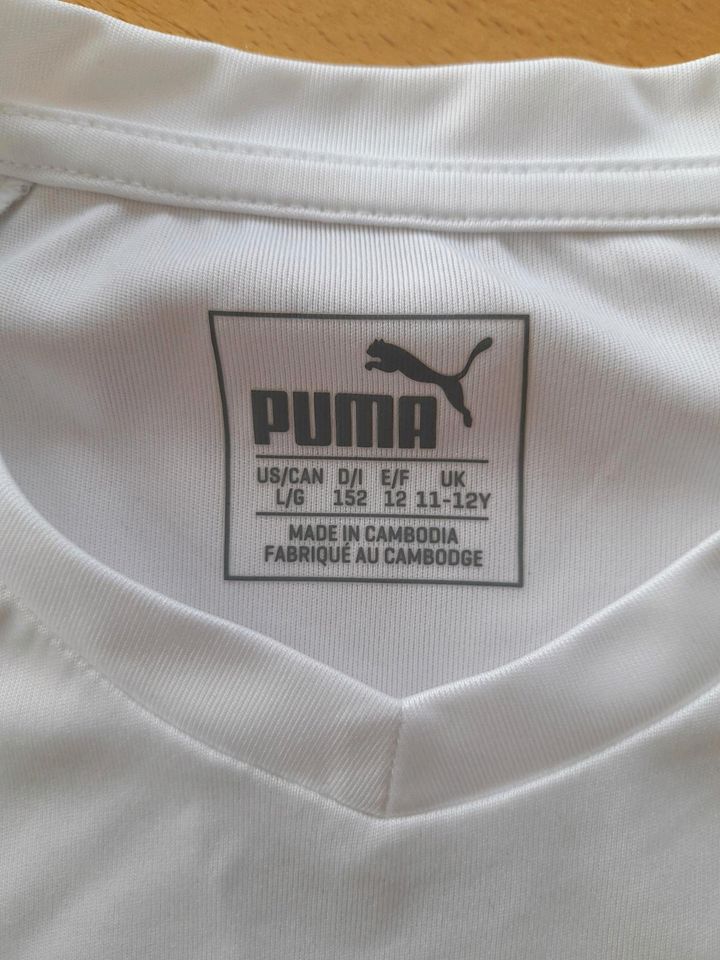 Puma T-Shirt Gr.152 in Nalbach