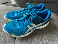 Asics Hallenturnschuhe Gr 48 Niedersachsen - Winsen (Luhe) Vorschau