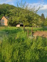 Gartengrundstück zu vermieten Nordrhein-Westfalen - Eitorf Vorschau