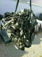 Engine Motor Ford Transit Connect 1.5 TDCi XVGB XVGA XVGC 14855KM Leipzig - Eutritzsch Vorschau