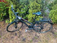 Carver Fahrrad Damen / gebraucht Dresden - Trachau Vorschau