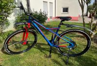 Mountainbike Bulls Sharptail 2 Disc 29 Zoll Baden-Württemberg - Leonberg Vorschau