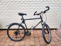 Herren Fahrrad 26 Zoll Baden-Württemberg - Baiersbronn Vorschau