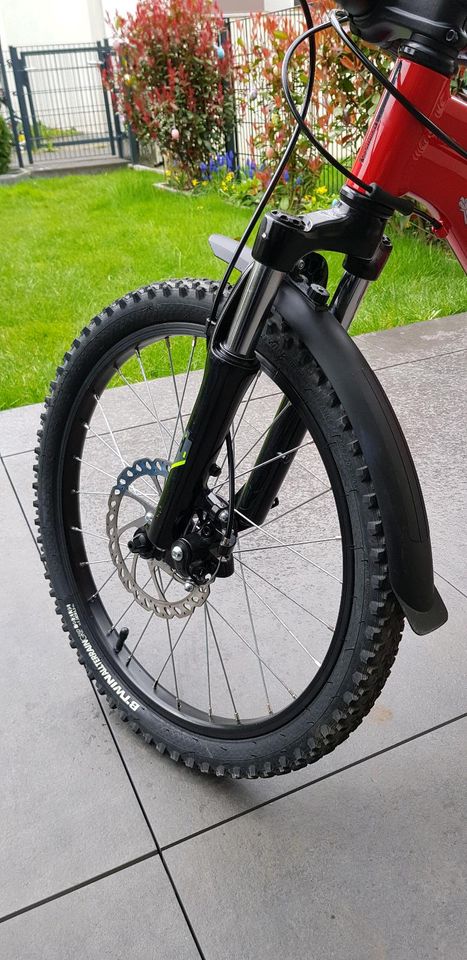 Mountainbike Rockrider ST 900 20 Zoll / Kinderfahrrad in Röthenbach