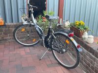 Fahrrad zu verkaufen Niedersachsen - Esterwegen Vorschau