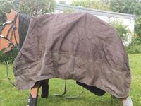 Winterdecke 300g 145cm Schleswig-Holstein - Norderstedt Vorschau