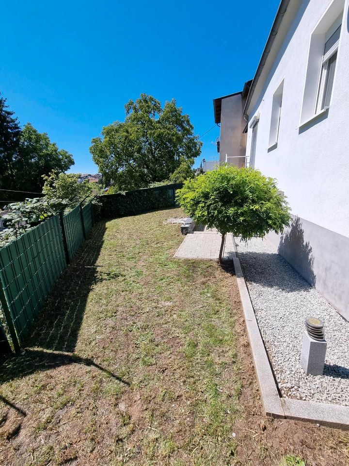 Gärtner. Biete Arbeiten rund ums Haus, Hof und Garten an in Saarbrücken