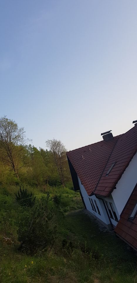 Suche Handwerker f. Erneuerung 2x Dachfenster in Ensdorf