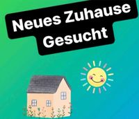 Dreiköpfige Familie sucht 3-4 Zimmer Wohnung in Langenfeld! Nordrhein-Westfalen - Langenfeld Vorschau