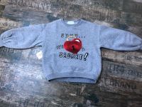 Zara  Kids toller Mädchen Pulli Gr. 122-128 mit roden Schloss Bayern - Neustadt a.d.Donau Vorschau