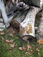 Drechsel-Schnitzholz,Bastelholz,Dekoholz,Kirsch-Nußbaumstämme Bayern - Zell Oberpf Vorschau