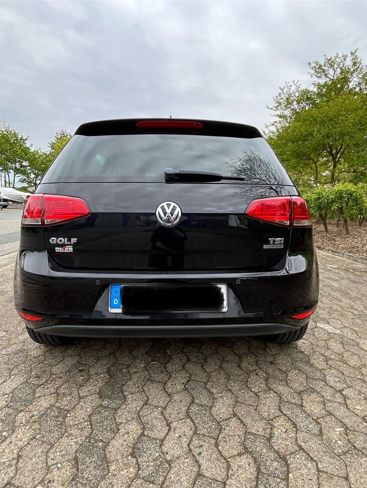 VW Golf 7 Comfortline in Grünendeich Niederelbe