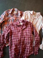 Hollister Hemden Set Gr M Nordrhein-Westfalen - Baesweiler Vorschau