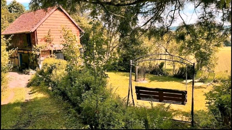 Ruhiges Ferienhaus, Alleinlage, Natur, Urlaub mit Hund, Nähe Harz in Einbeck