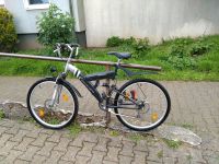 26 Zoll Herren Fahrrad Düsseldorf - Düsseltal Vorschau