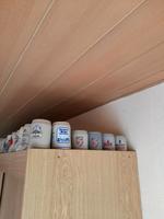 Bierkrug Sammlung Hessen - Bad Soden-Salmünster Vorschau