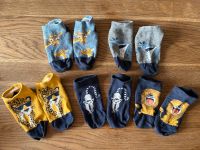 Socken 27-30 Rheinland-Pfalz - Billigheim-Ingenheim Vorschau