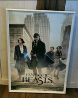 Phantastische Tierwesen Fantastic Beasts Bild Harry Potter Bayern - Petting Vorschau