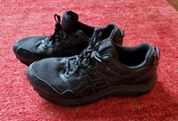 Turnschuhe asics Gr. 43.5 Schleswig-Holstein - Kiel Vorschau