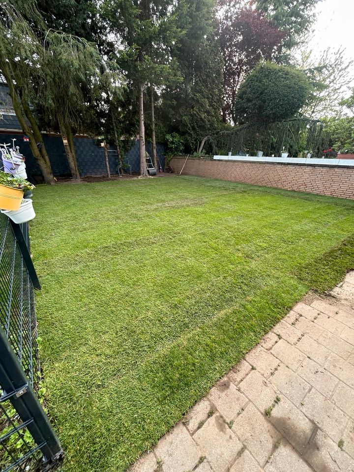 Rollrasen mit Verlegung und Vorarbeiten Gartenbau in Rommerskirchen