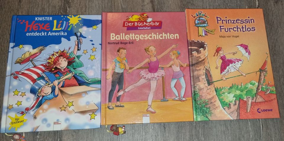 Lesebücher, Leselöwen, Lesepiraten, Kinderbücher in Elmshorn