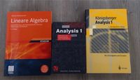 Mathebücher - Analysis, Lineare Algebra Schleswig-Holstein - Lübeck Vorschau