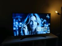 LG Fernseher 50 Zoll Niedersachsen - Hildesheim Vorschau