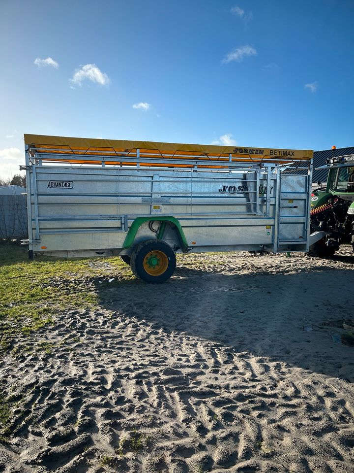 Joskin Betimax Viehwagen in Südbrookmerland