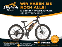 Prophete Jugend Elektro-Fahrrad 24" eSUV Graveler 36 Volt 374Wh Niedersachsen - Dissen am Teutoburger Wald Vorschau